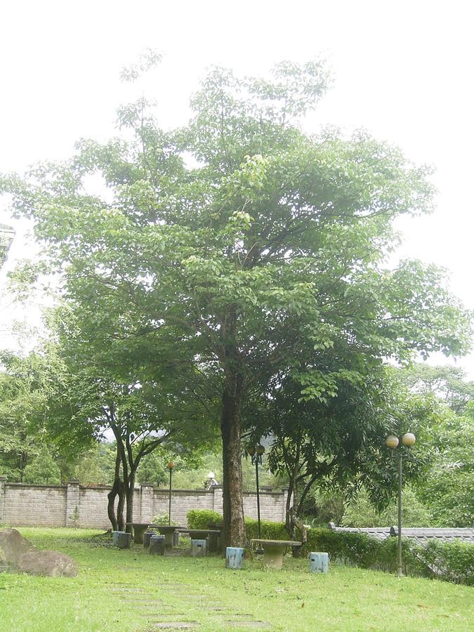 Fumei Bluebird Homestay Nanzhuang Exteriér fotografie